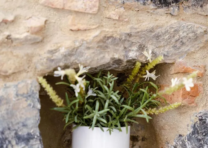 فندق مبيت وإفطار The Railway 74 لا سبيتسْيا