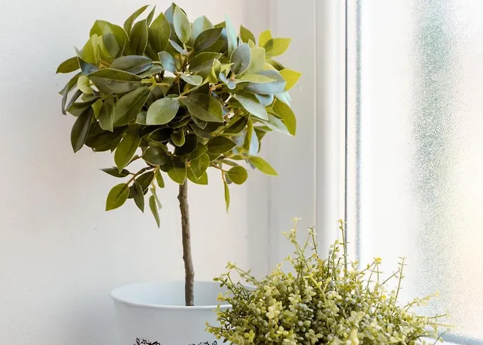 The Railway 74 Bed and Breakfast 4*